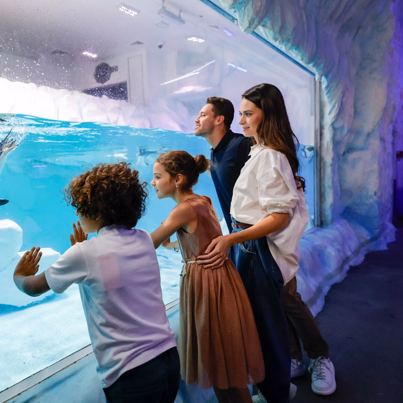 Dubai Aquarium & Underwater Zoo: Entry Ticket