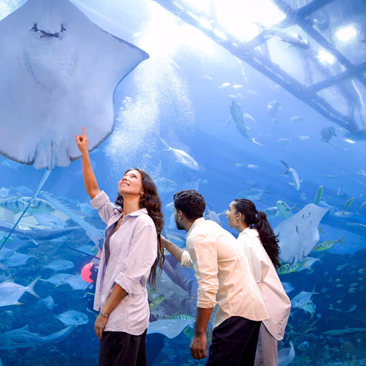 Three people admire a large ray and other marine life in a large aquarium exhibit under bright lighting.