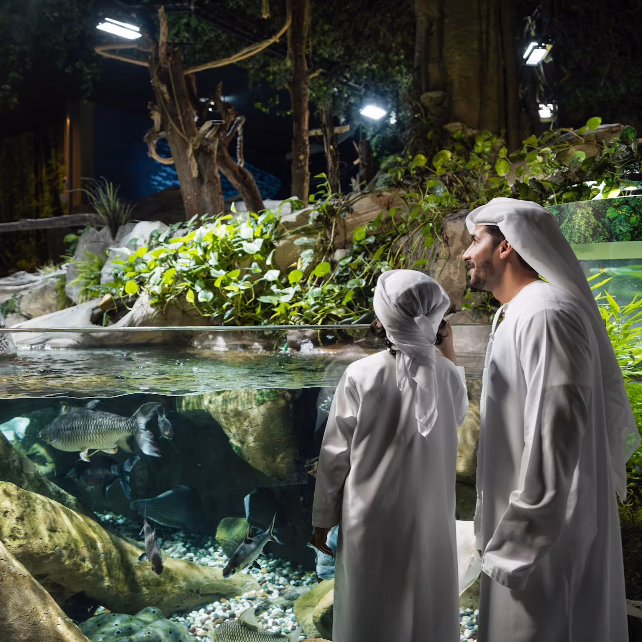 Two individuals in traditional white attire observe a large aquarium with fish, surrounded by lush greenery in an indoor setting.