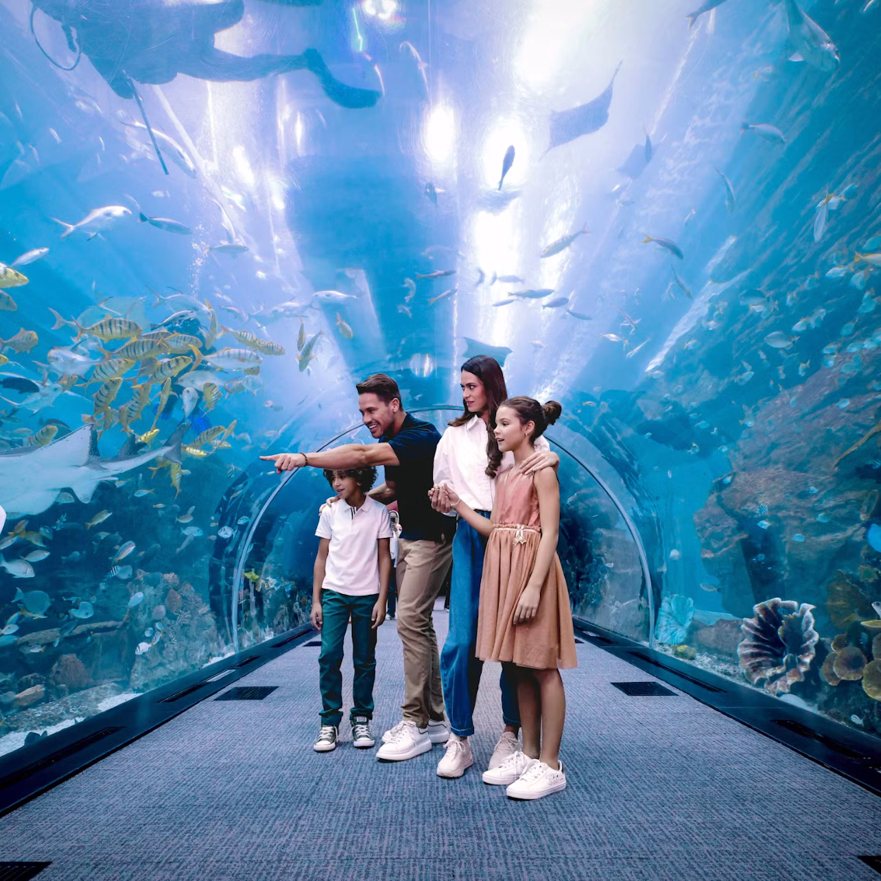 A family of four walking in an underwater tunnel surrounded by fish and marine life in a large aquarium.