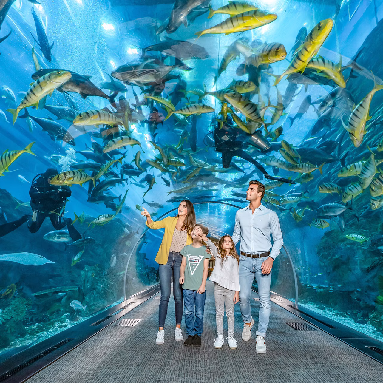 A family of four walks through an underwater tunnel at an aquarium, surrounded by a variety of fish swimming above.