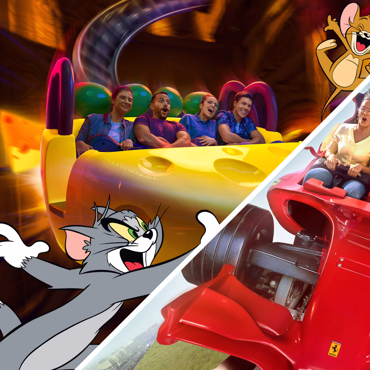 Split image: one side shows people enjoying a colorful rollercoaster with cartoon characters Tom and Jerry. Other side shows a woman on a ride.