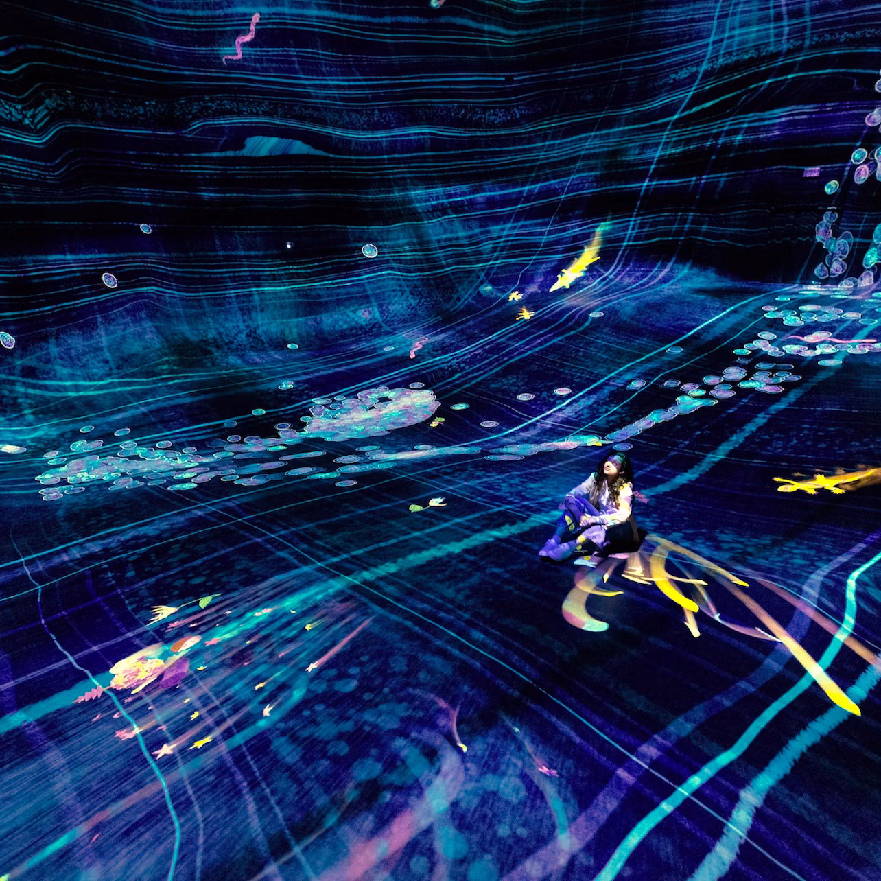 teamLab