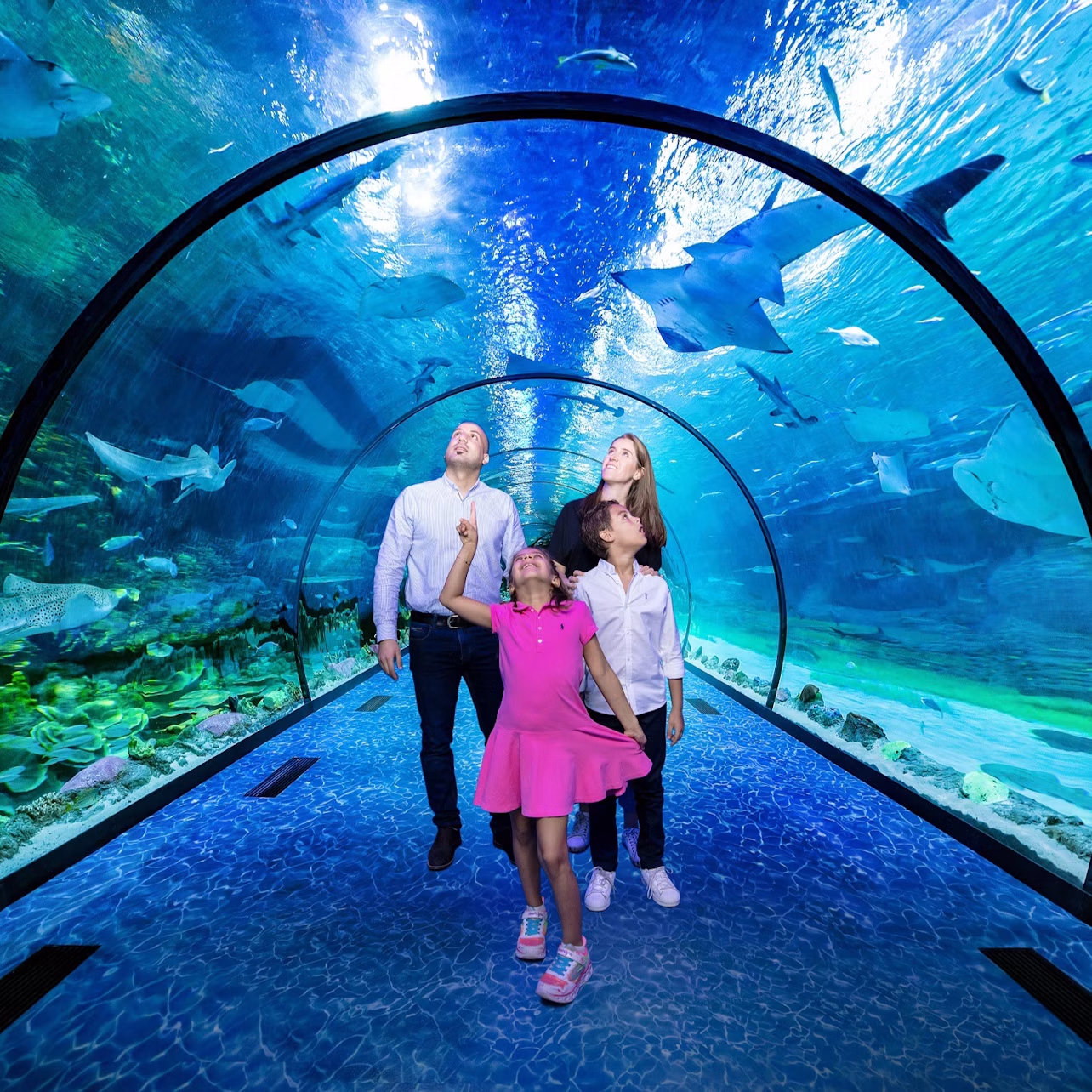 The National Aquarium Abu Dhabi