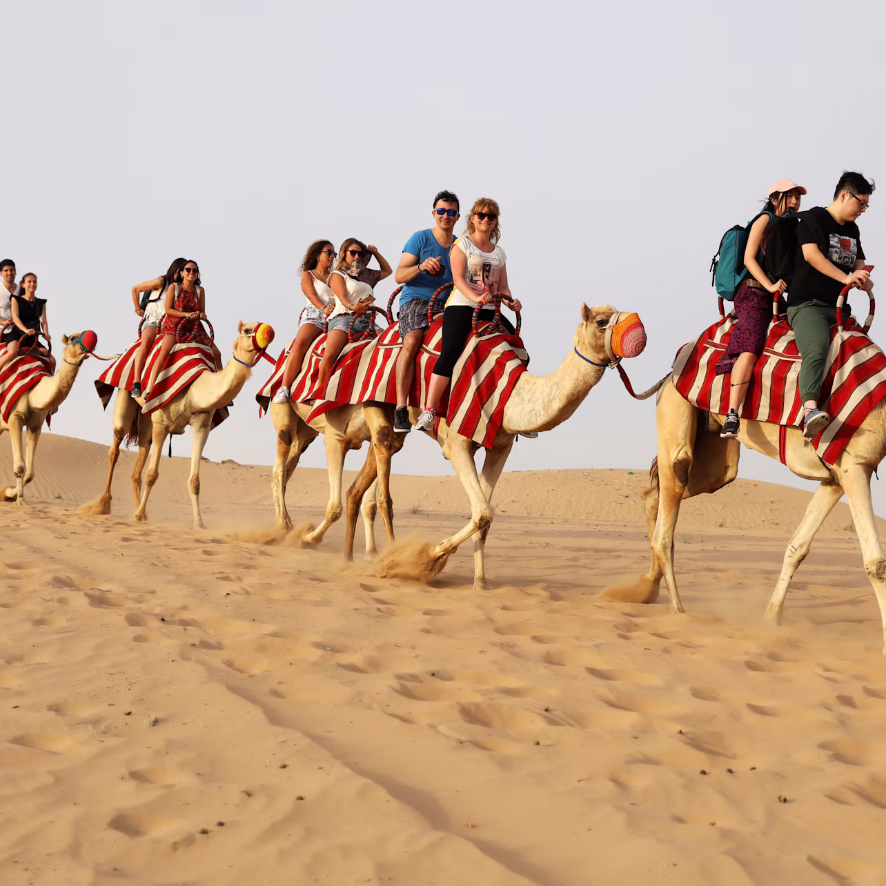 Camel ride