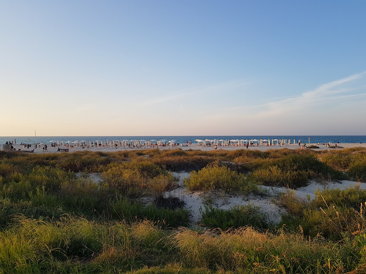 Saadiyat Beach Abu Dhabi during an evening, a coastal destination for a winter or spring holiday