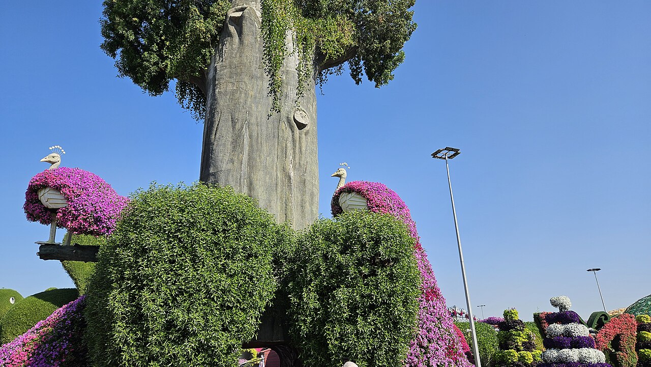 Flower displays at Dubai Miracle Garden during its seasonal opening